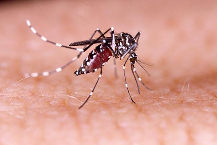 One dead as Rift Valley Fever outbreak confirmed in Kagadi One dead as Rift Valley Fever outbreak confirmed in Kagadi