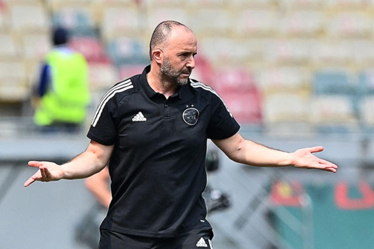 Belmadi wants response from Desert Foxes Belmadi wants response from Desert Foxes