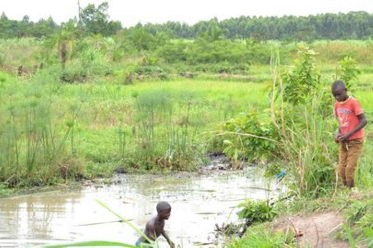 Commit more resources to wetland perseveration Commit more resources to wetland perseveration