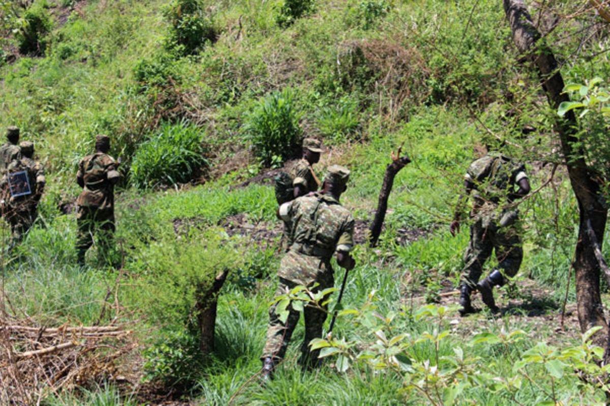 33 rebels killed in eastern DR Congo – army 33 rebels killed in eastern DR Congo – army