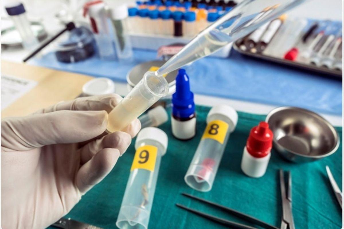 DNA results complicate Rubaga septic tank case DNA results complicate Rubaga septic tank case