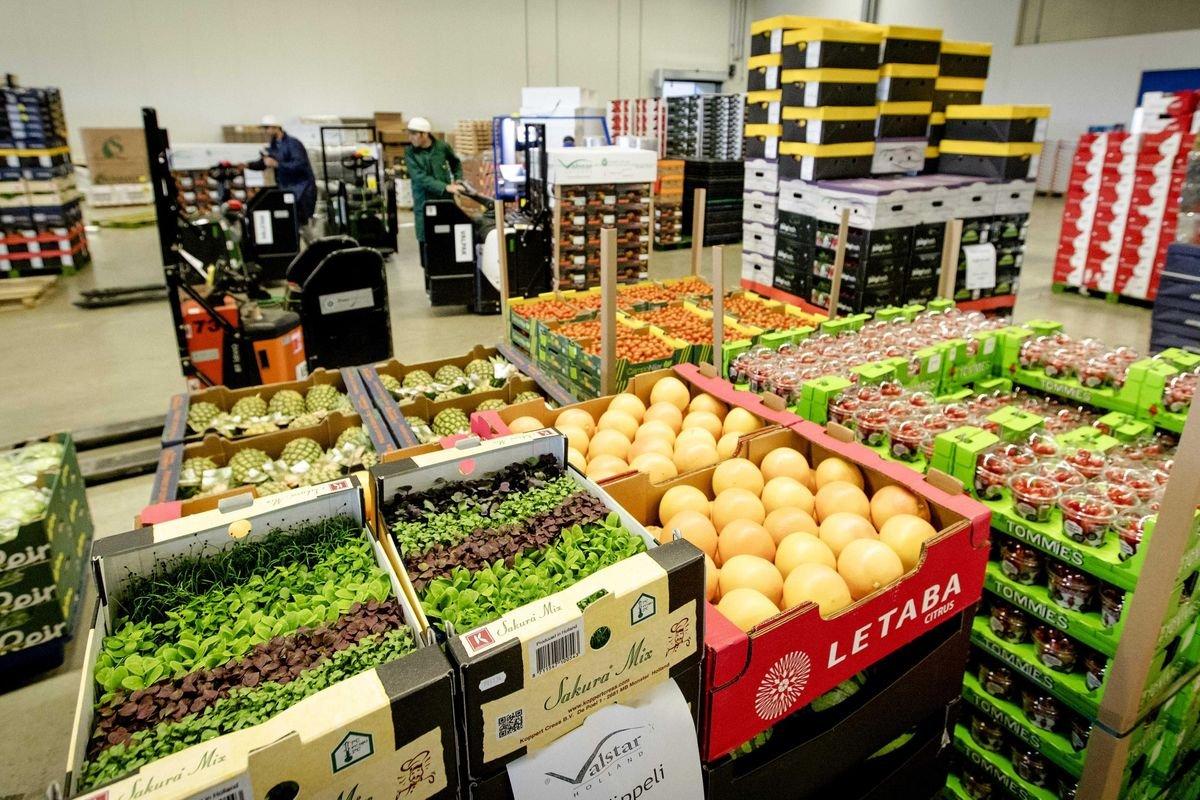 21 export items: Uganda’s opportunity in Africa Trade Zone 21 export items: Uganda’s opportunity in Africa Trade Zone