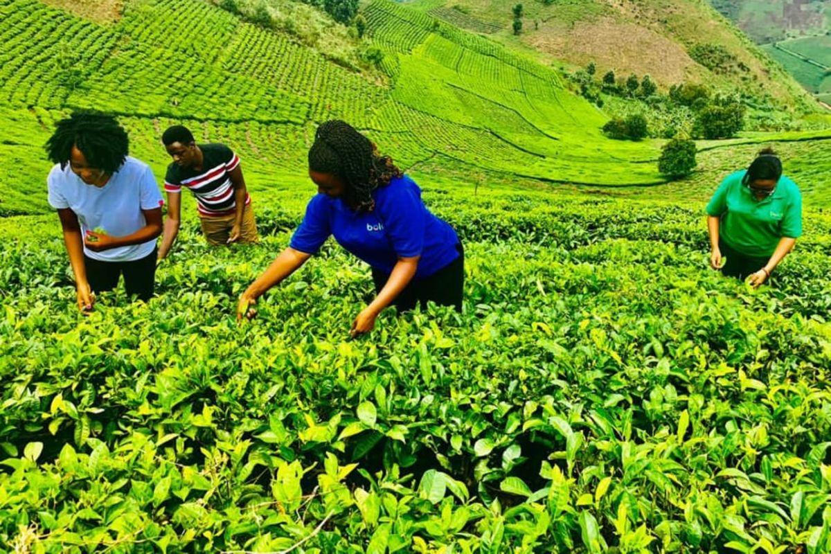 How will Ugandans benefit from middle income status? How will Ugandans benefit from middle income status?
