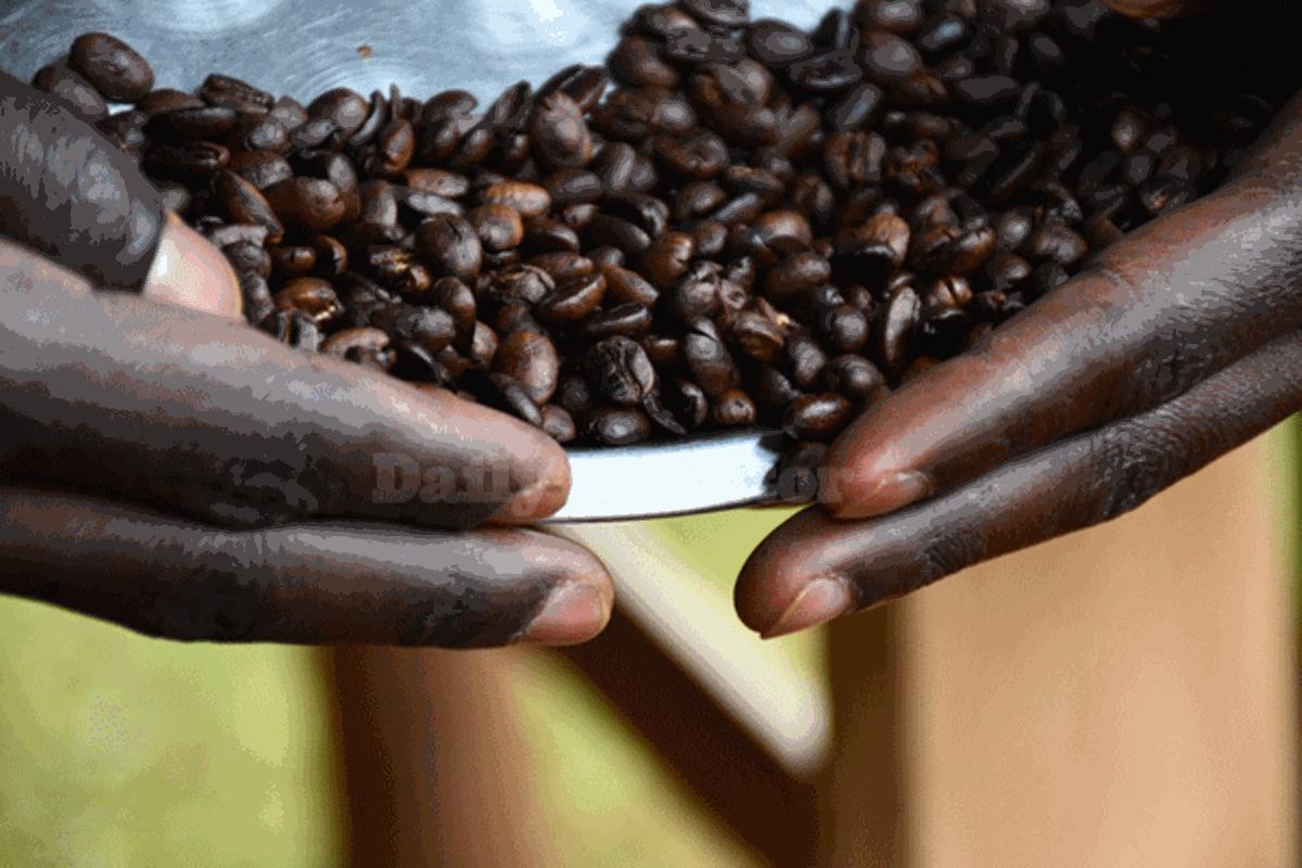 We engaged Uganda with no success, coffee body claims We engaged Uganda with no success, coffee body claims