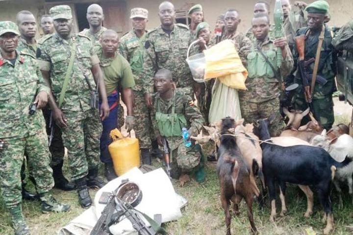 UPDF, Congolese army say they have killed 5 ADF rebels UPDF, Congolese army say they have killed 5 ADF rebels