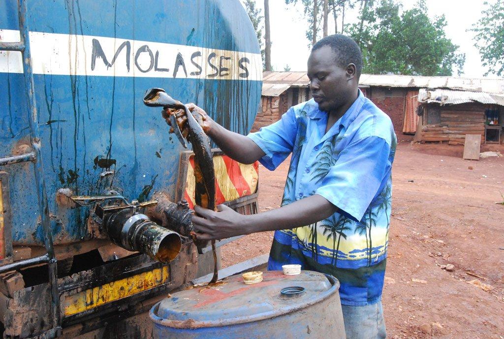 Busoga traders turn to Kenya for molasses Uganda