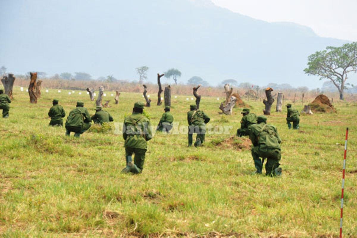 cattle-rustling-cases-reduce-as-updf-deploys-more-troops-in-karamoja