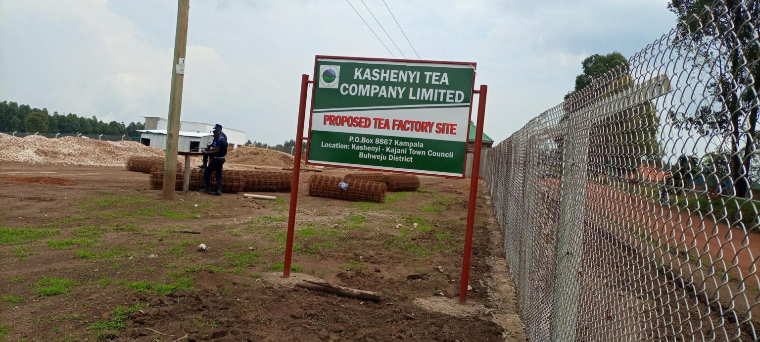 Investors to construct three tea factories in Buhweju Uganda