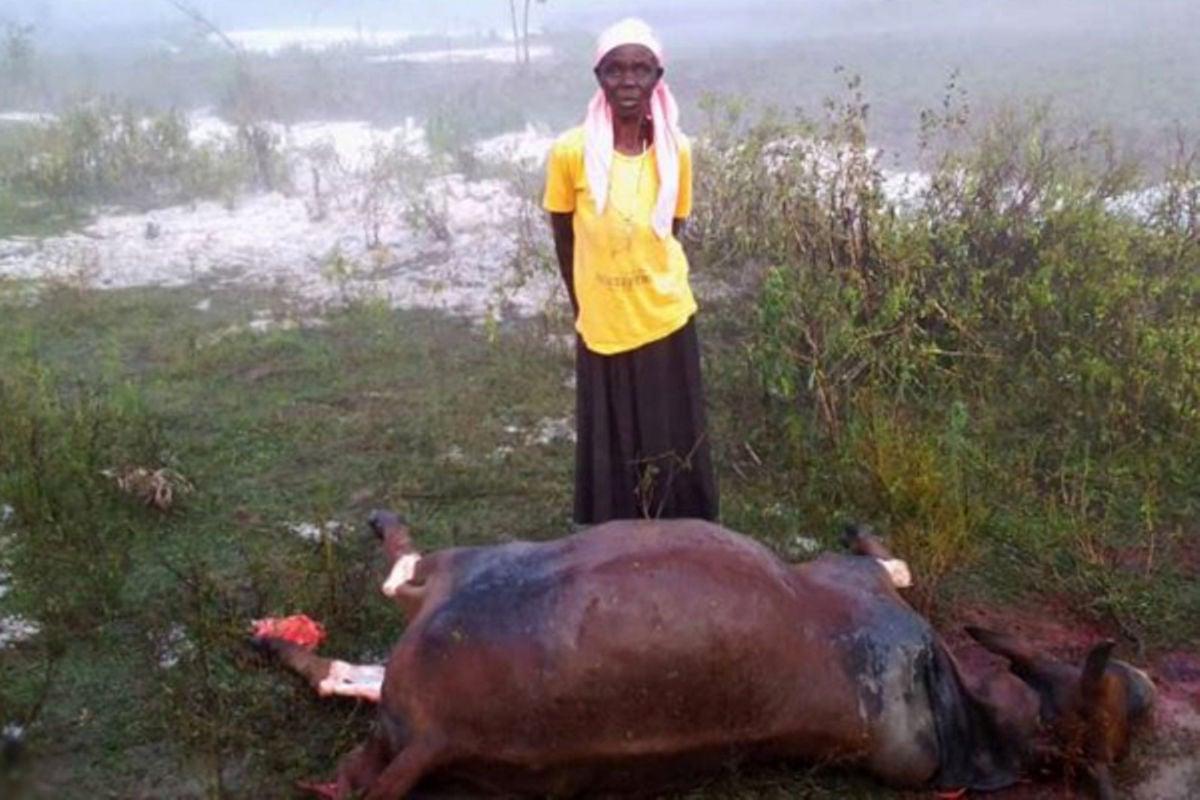 Heavy rains ravage 33 villages in Tororo Heavy rains ravage 33 villages in Tororo