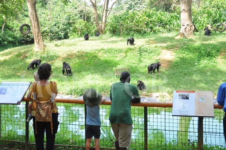 Government secures land for planned regional zoos to boost tourism Government secures land for planned regional zoos to boost tourism