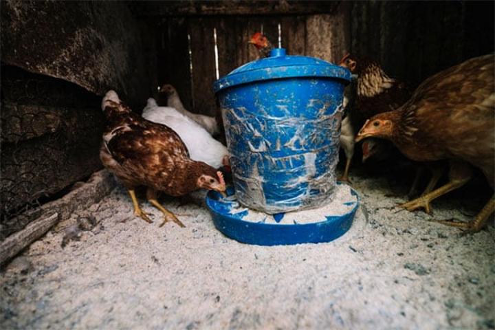 Govt proposes to scrap tax on adult diapers, animal feeds Govt proposes to scrap tax on adult diapers, animal feeds