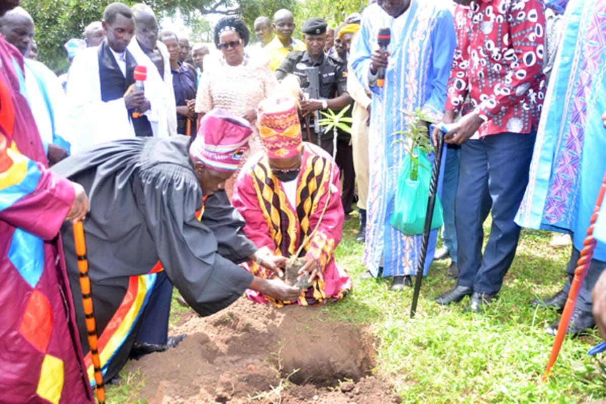 Lango launches treeplanting campaign to curb climate change Uganda