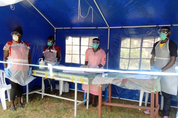 Leaders develop Shs2b budget to fight Marburg Leaders develop Shs2b budget to fight Marburg