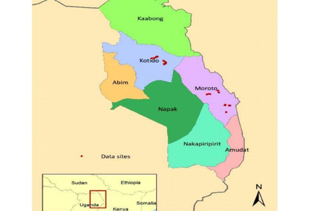 Napak District has no governmentaided secondary school report Uganda