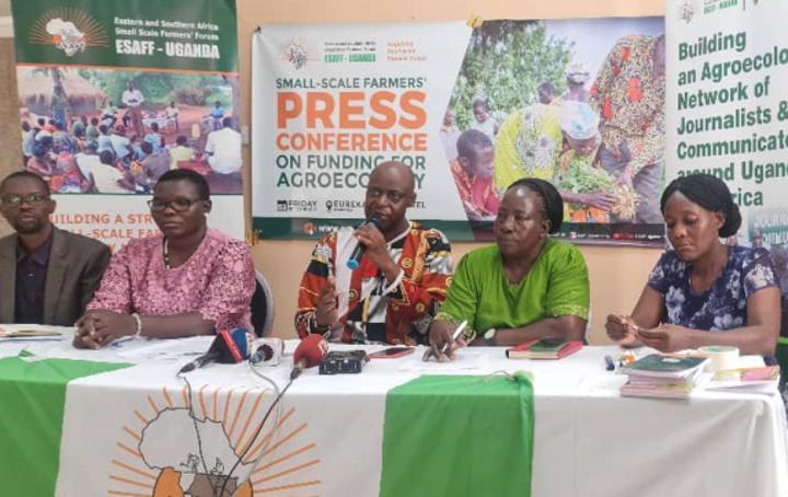 Govt’s budget doesn’t solve our issues - small scale farmers Govt’s budget doesn’t solve our issues - small scale farmers