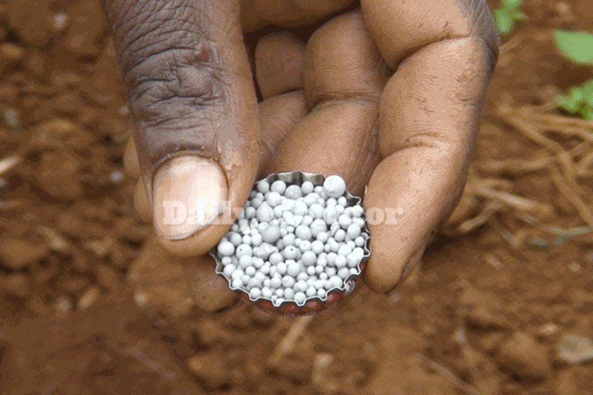 MP faults UNBS for allowing fake fertilizers on market MP faults UNBS for allowing fake fertilizers on market