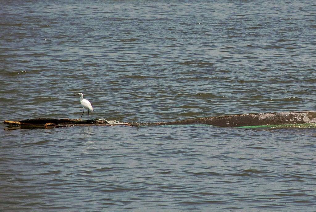 Nine-year-old boy drowns in Lake Victoria Nine-year-old boy drowns in Lake Victoria