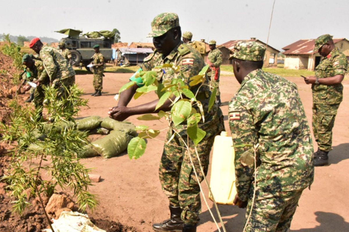 UPDF launches massive tree planting campaign in eastern DR Congo UPDF launches massive tree planting campaign in eastern DR Congo