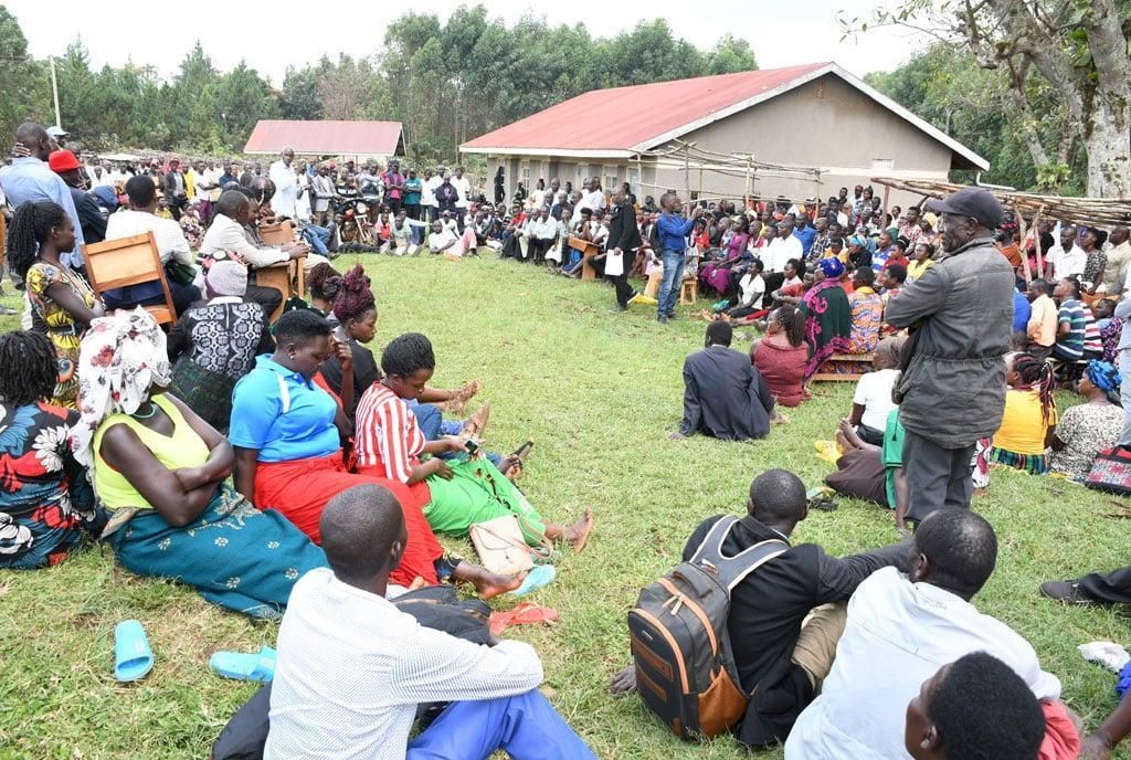 Narcotics law: Farmers stuck with banned khat Narcotics law: Farmers stuck with banned khat