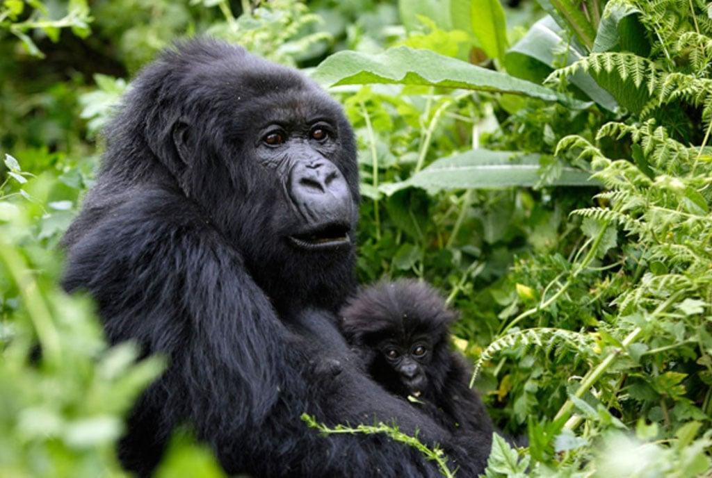 UTB pushes for direct flights to tourism sites UTB pushes for direct flights to tourism sites