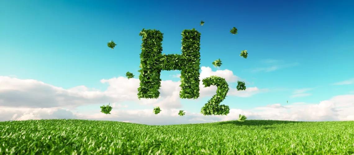 African executives say investments in green hydrogen key to attaining net-zero goal African executives say investments in green hydrogen key to attaining net-zero goal