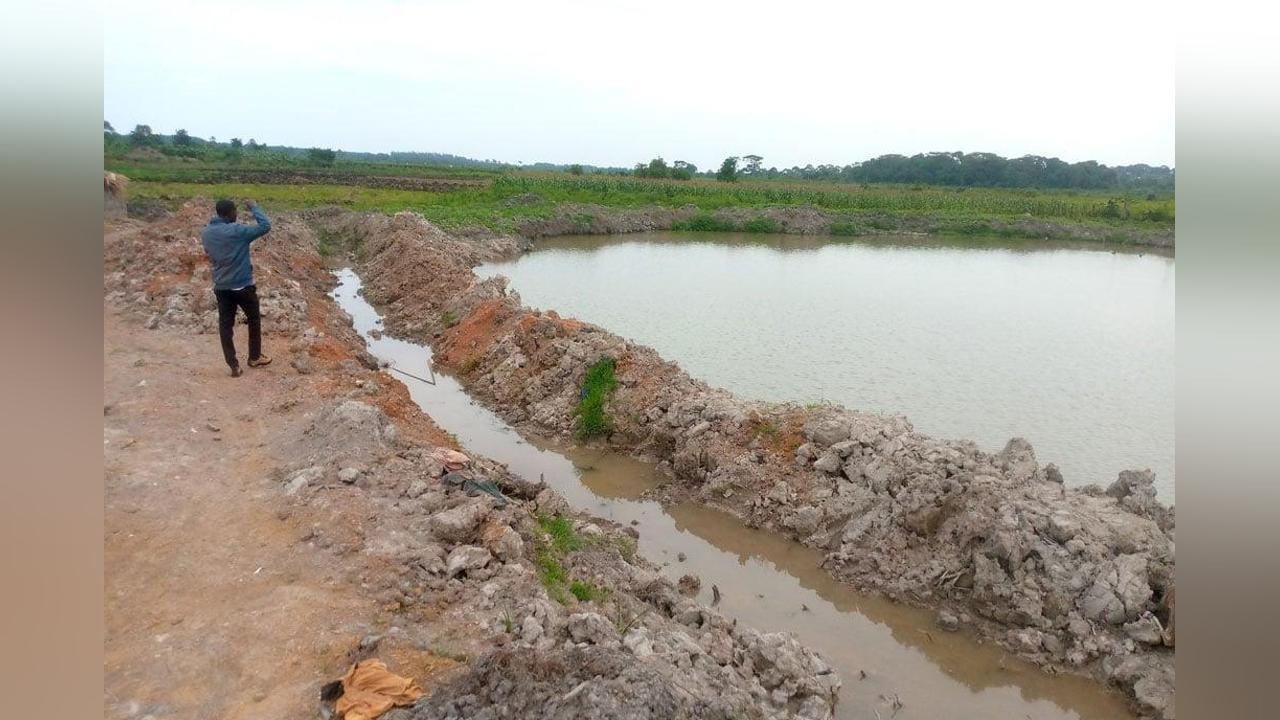 Protests as firm destroys wetland in search of clay - Uganda