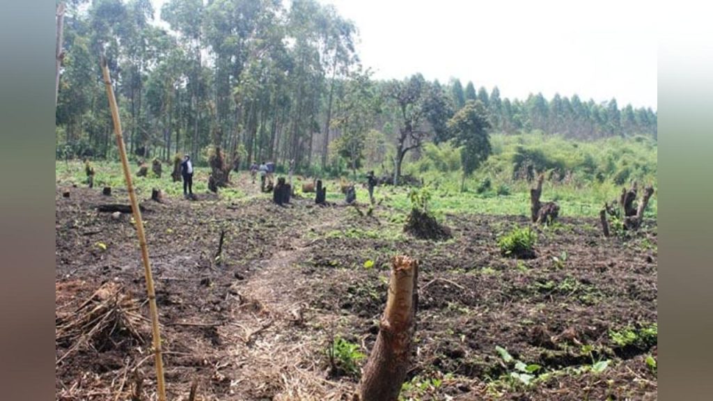 Encroachers reclaim over 900 acres of Fort Portal wetlands - Uganda