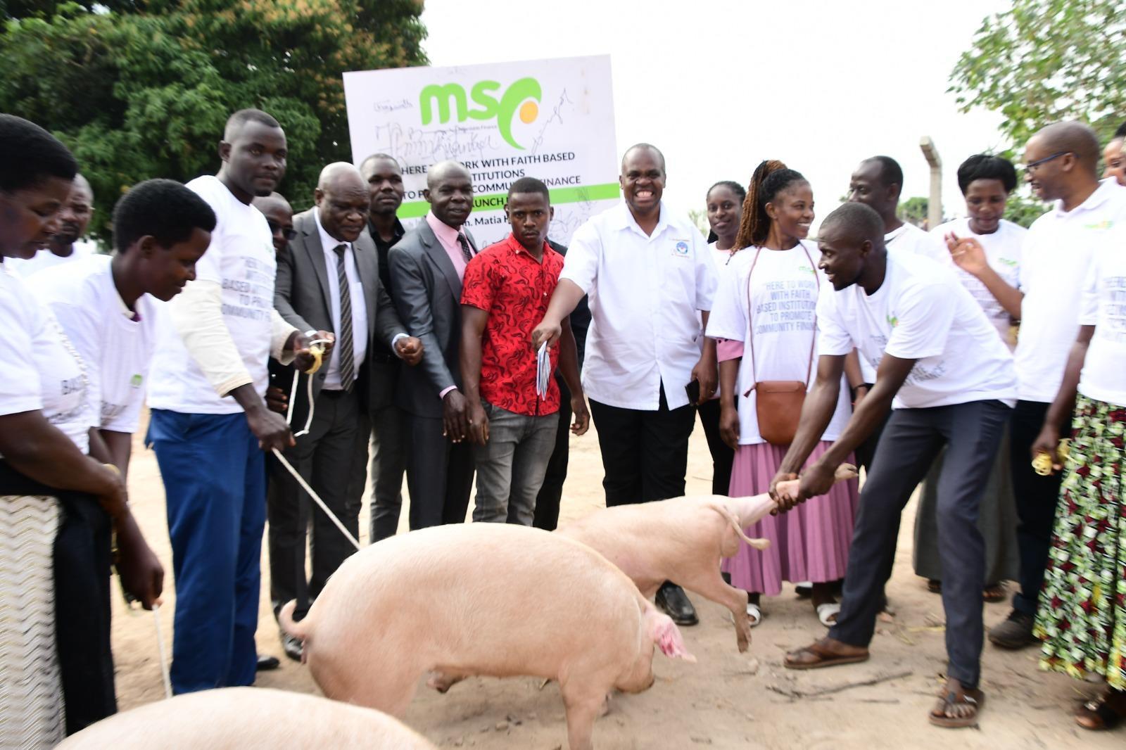 Microfinance Support Centre Catholic Church Launch Piggery Project In Microfinance Support Centre Catholic Church Launch Piggery Project In
