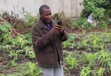 Electricity, Internet Gaps Hinder AI Adoption in Africa Electricity, Internet Gaps Hinder AI Adoption in Africa