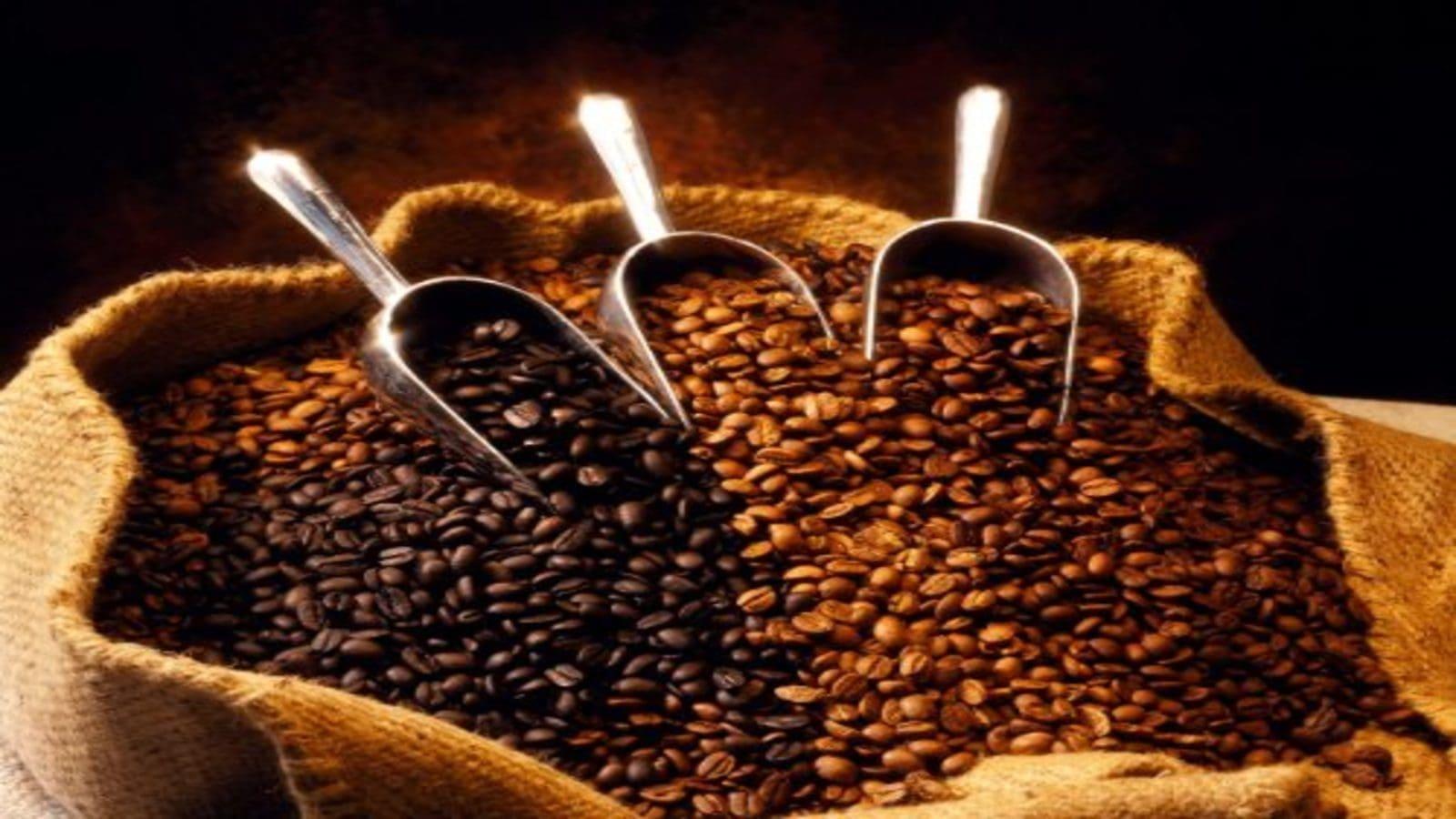 What Next for the Coffee Sector? What Next for the Coffee Sector?