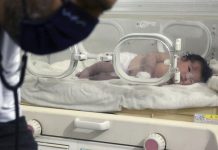 Generation Beta Ushers in a New Era as 2025 Begins Generation Beta Ushers in a New Era as 2025 Begins