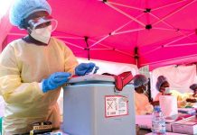Ebola Cases in Uganda Rise to 14 as New Cluster Emerges Ebola Cases in Uganda Rise to 14 as New Cluster Emerges