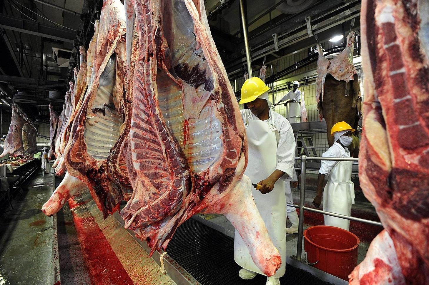 Meat Processors Call for International Halal Certification to Access World'S Lucrative Export Markets Meat Processors Call for International Halal Certification to Access World'S Lucrative Export Markets
