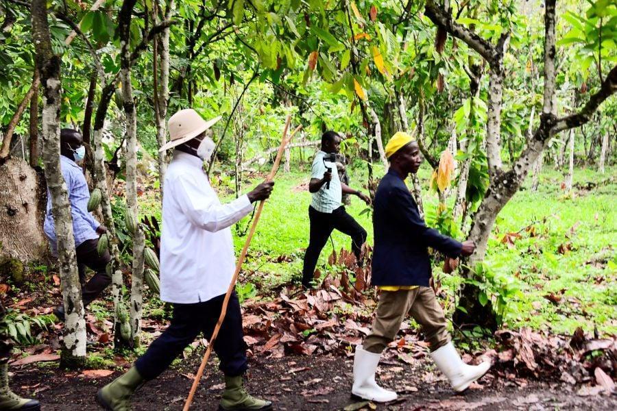 Museveni Hails Bundibugyo'S Self-Driven Transformation Museveni Hails Bundibugyo'S Self-Driven Transformation