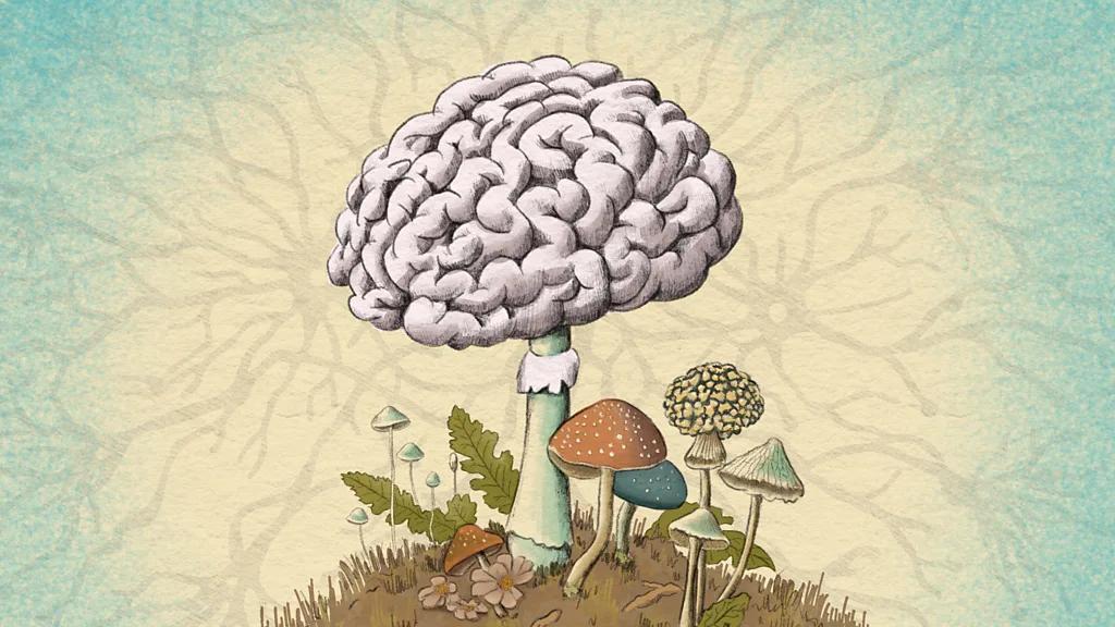 Our Body is a Mosaic of Fungi Influencing our Brain Our Body is a Mosaic of Fungi Influencing our Brain