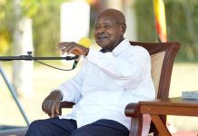 Museveni Cautions Small Farmers on Tea Farming Risks Museveni Cautions Small Farmers on Tea Farming Risks
