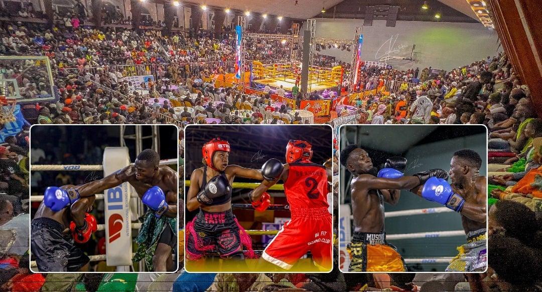 NBS Sport to Broadcast Boxing Champions League Live NBS Sport to Broadcast Boxing Champions League Live