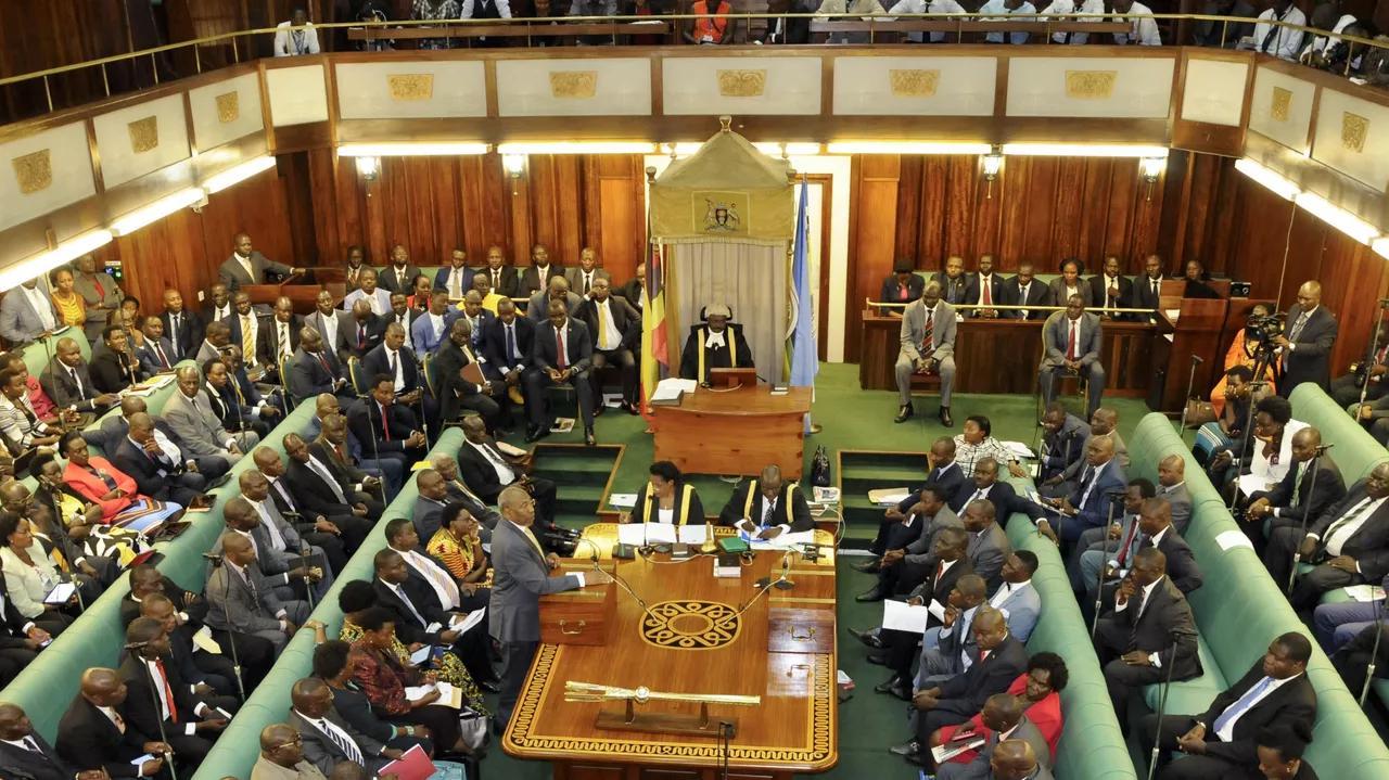 Parliament Defends Decision to Ban NMG