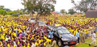Young DP Leader Seeks to Revitalize Mityana South Young DP Leader Seeks to Revitalize Mityana South