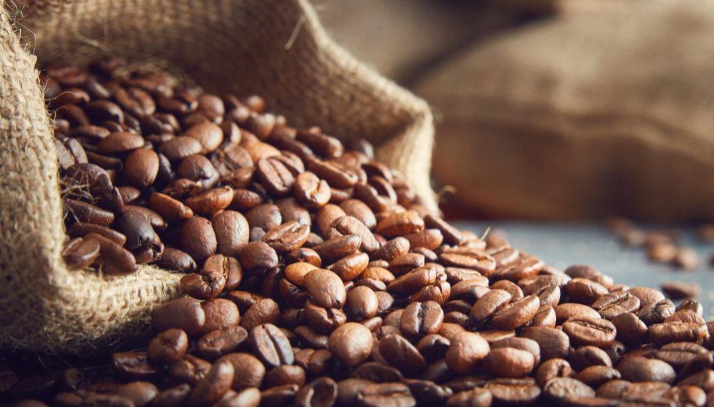 Uganda Secures Coffee Deals Worth Shs10.6 Billion Uganda Secures Coffee Deals Worth Shs10.6 Billion