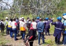 Investors Urge Restoration of Vandalized Power Lines Investors Urge Restoration of Vandalized Power Lines
