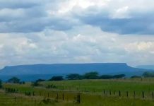 Africa’S Longest-Running Grassland Research Project Africa'S Longest-Running Grassland Research Project