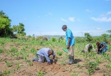 Whoever Masters the Land Question will own Uganda’S Future Whoever Masters the Land Question will own Uganda’S Future