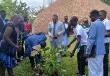 Buganda Royals Urged to Safeguard Ancestral Burial Sites Buganda Royals Urged to Safeguard Ancestral Burial Sites