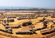 China’S Critical Mineral Strategy in Africa China’S Critical Mineral Strategy in Africa