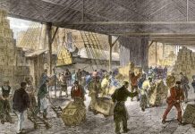 Early Shoppers Shaping Global Trade Trends in 1800S Early Shoppers Shaping Global Trade Trends in 1800S