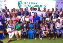 Dfcu Champions Agribusiness Growth through Innovation Dfcu Champions Agribusiness Growth through Innovation