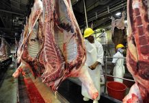 Meat Prices Shoot up in Kampala Ahead of Christmas Meat Prices Shoot up in Kampala Ahead of Christmas
