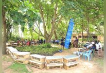 Centenary Bank Partners with Bees and Trees Uganda Centenary Bank Partners with Bees and Trees Uganda