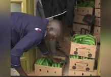 Uganda’S Trade Deficit Narrows by over 70% as Export Earnings Surge Uganda’S Trade Deficit Narrows by over 70% as Export Earnings Surge